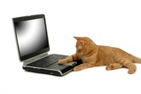 Cat_with_computer